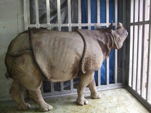 【SX-203】動物園でもシルバーウインチが大活躍！